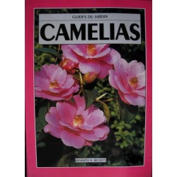 Camélias