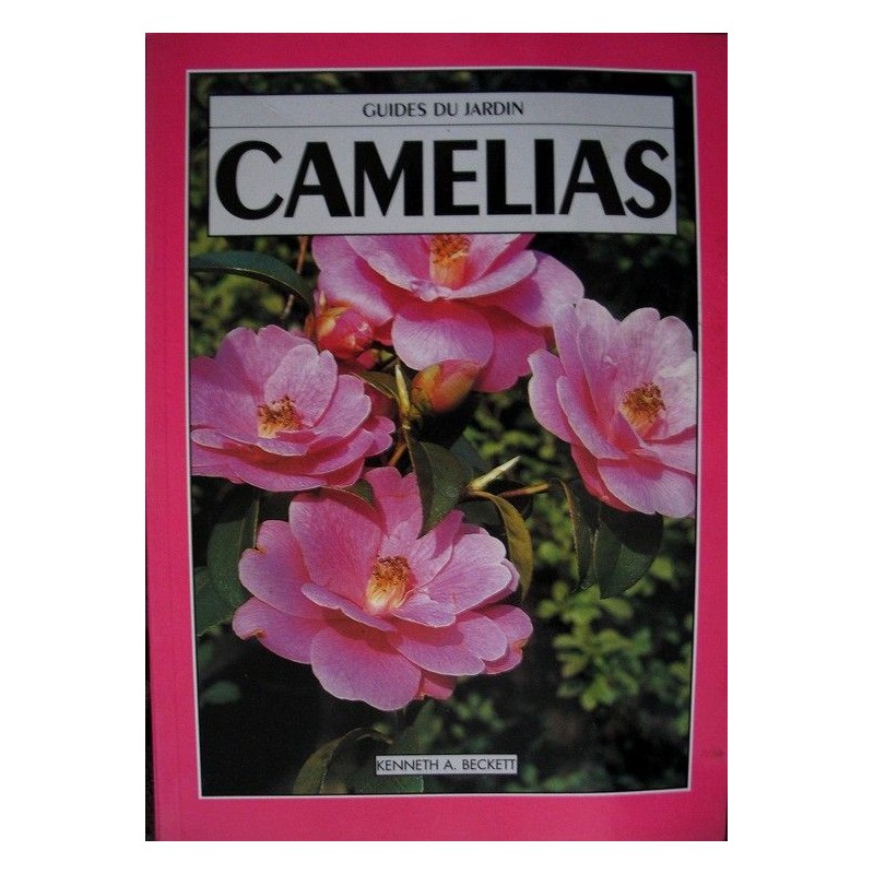 Camélias