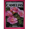 Camélias