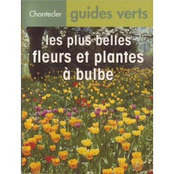 Les plus belles fleurs et plantes à bulbe