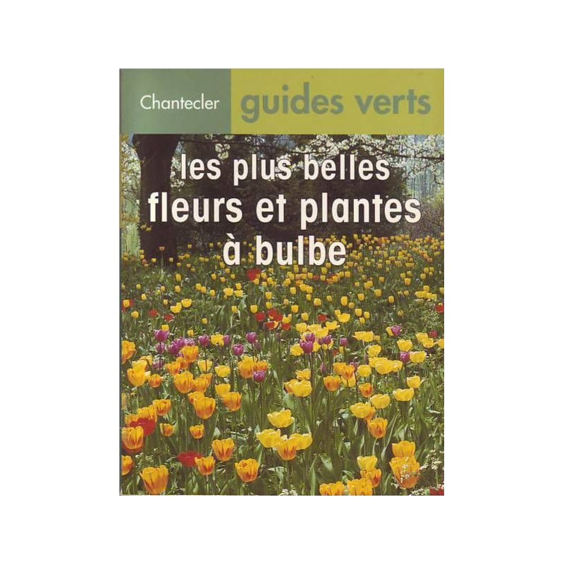 Les plus belles fleurs et plantes à bulbe