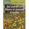 Les plus belles fleurs et plantes à bulbe